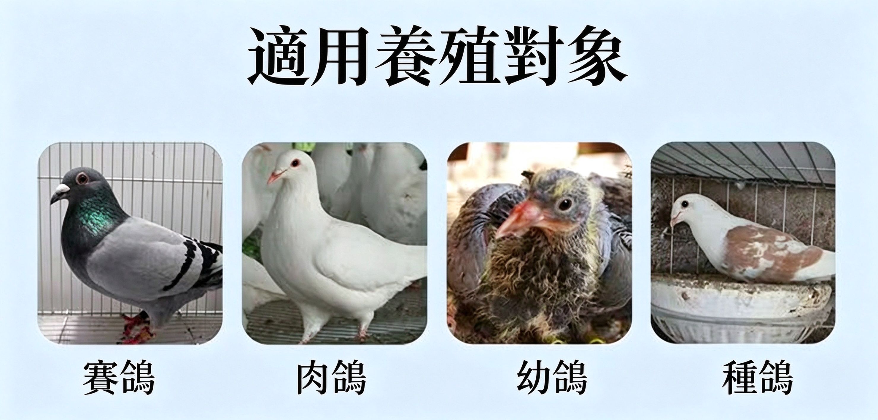 適用養殖對象