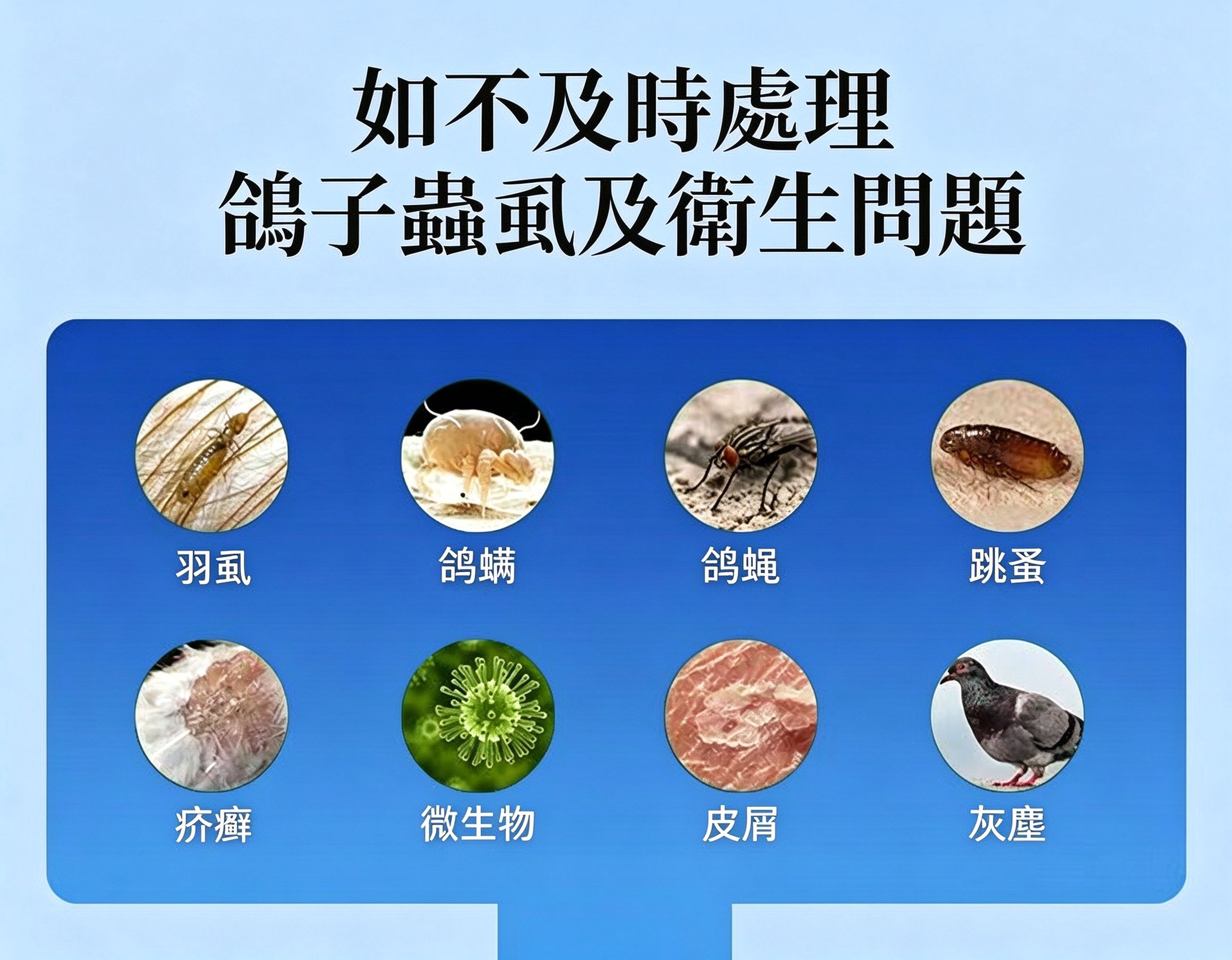 蟲蝨問題